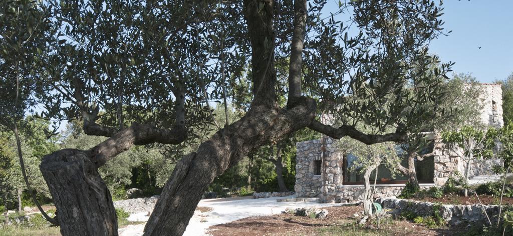 בית הארחה נוצ'י 	Dimora Casanoja מראה חיצוני תמונה